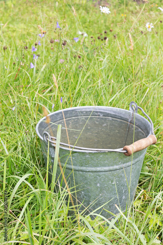 Bucket of the water in the grass