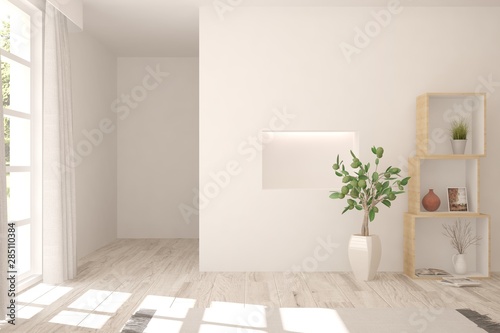 Empty room in white color. Scandinavian interior design. 3D illustration