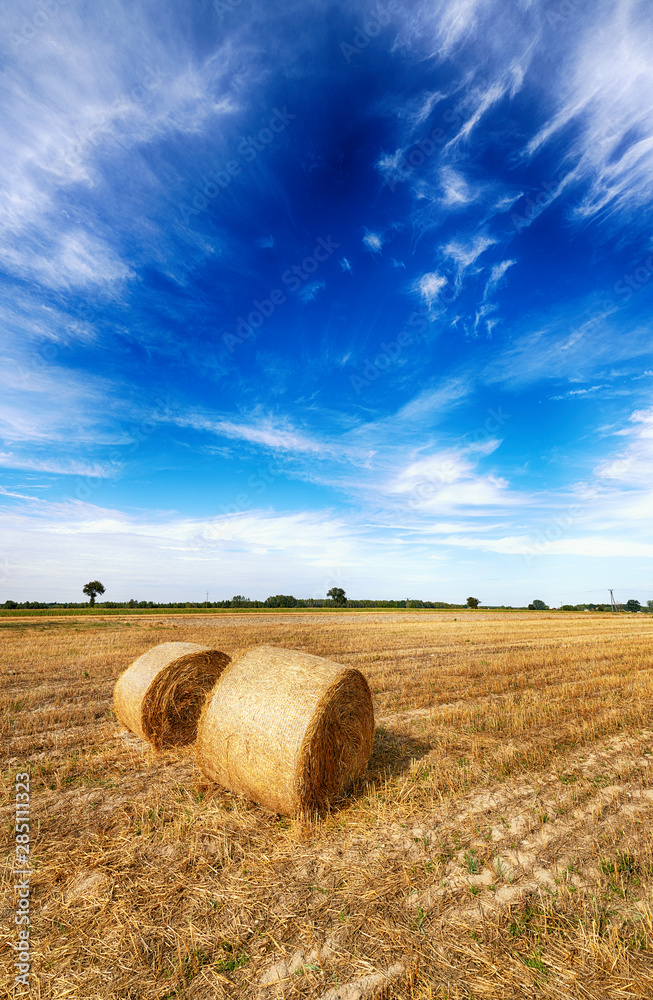 Beautiful summer landscape with hay bales and cloudy sky