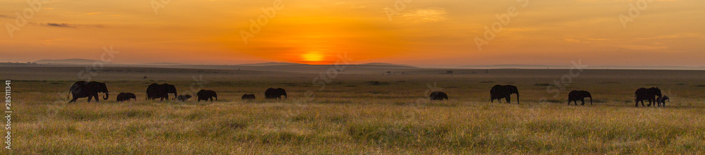 Maasai Mara Sunrise