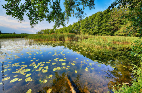 Fototapeta Naklejka Na Ścianę i Meble -  Beautiful summer day on masuria lake district in Poland