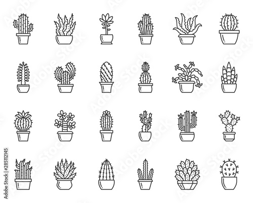 Cactus plant simple black line icons vector set