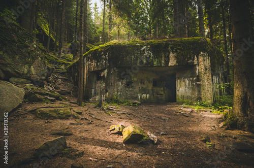 Old and abandoned bunker in forest covered with moss  photo