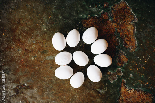 Rows of white eggs photo