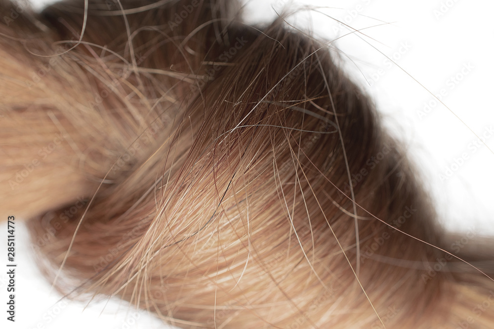 Macro shot of hair knot, brown color Macro shot of hair knot, brown color