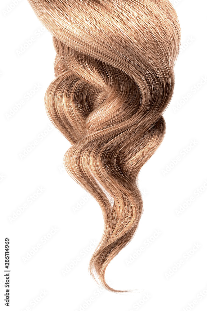 Brown hair, isolated on white background Brown hair, isolated on white background