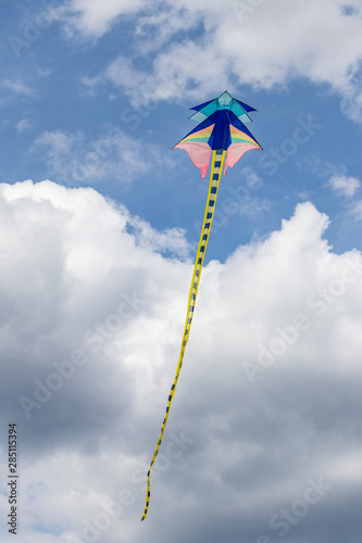 kite against the blue sky Bulgaria Varna 18 08 2019