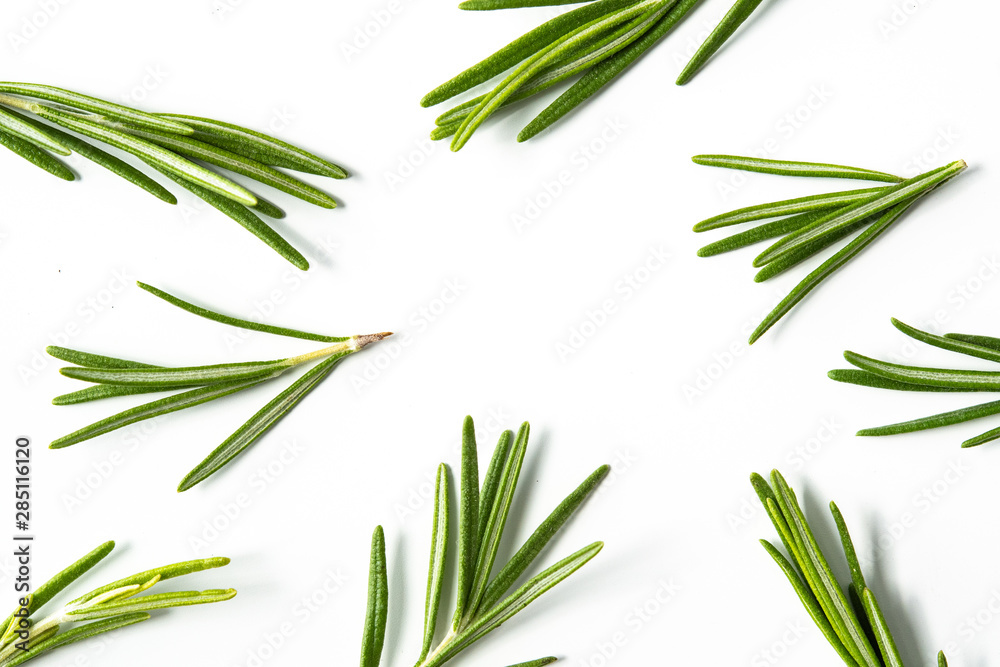 Rosemary twig arranged in a chaotic manner on a white background Rosemary twig arranged in a chaotic manner on a white background