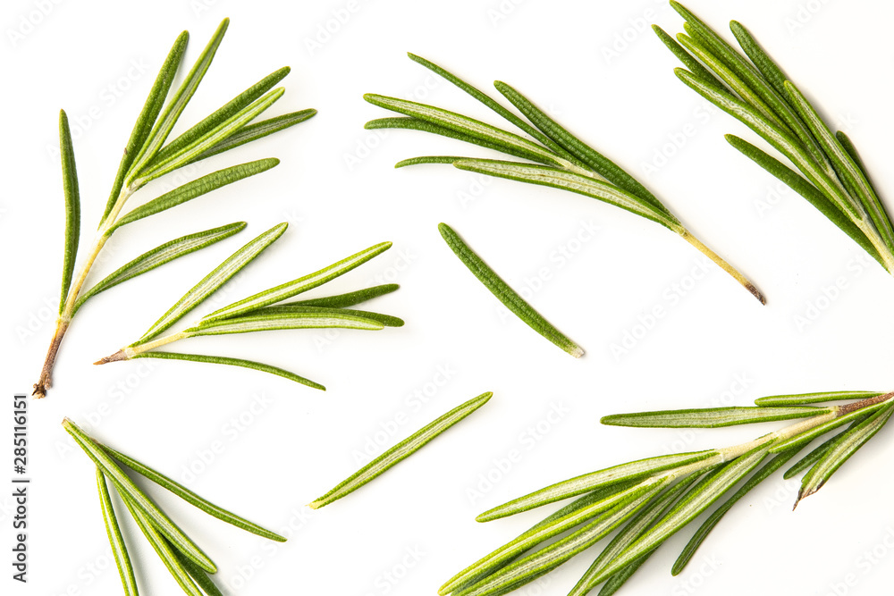 Obraz premium Rosemary twig arranged in a chaotic manner on a white background