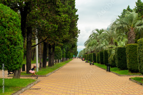 Street in the park for walks and relaxation.