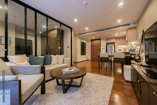  Interior  beautiful apartment  luxurious living room