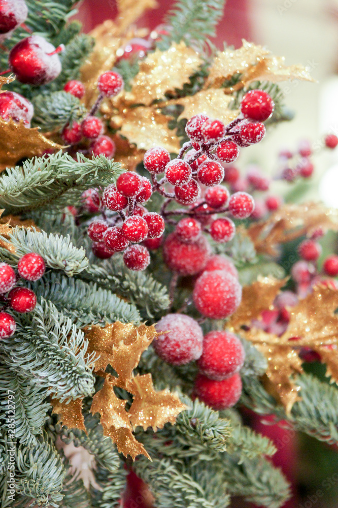 Decorative branches with berries. Decorative branches with berries.