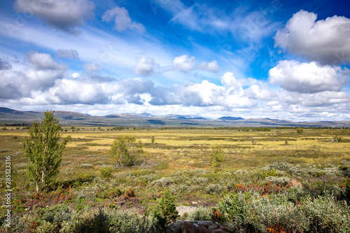 Landscape view on Dovre mountain Norway