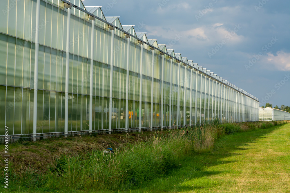All season fresh vegetables, fruits and flowers, agriculture in Netherlands, big modern greeenhouses in Limburg, exterior view All season fresh vegetables, fruits and flowers, agriculture in Netherlands, big modern greeenhouses in Limburg, exterior view