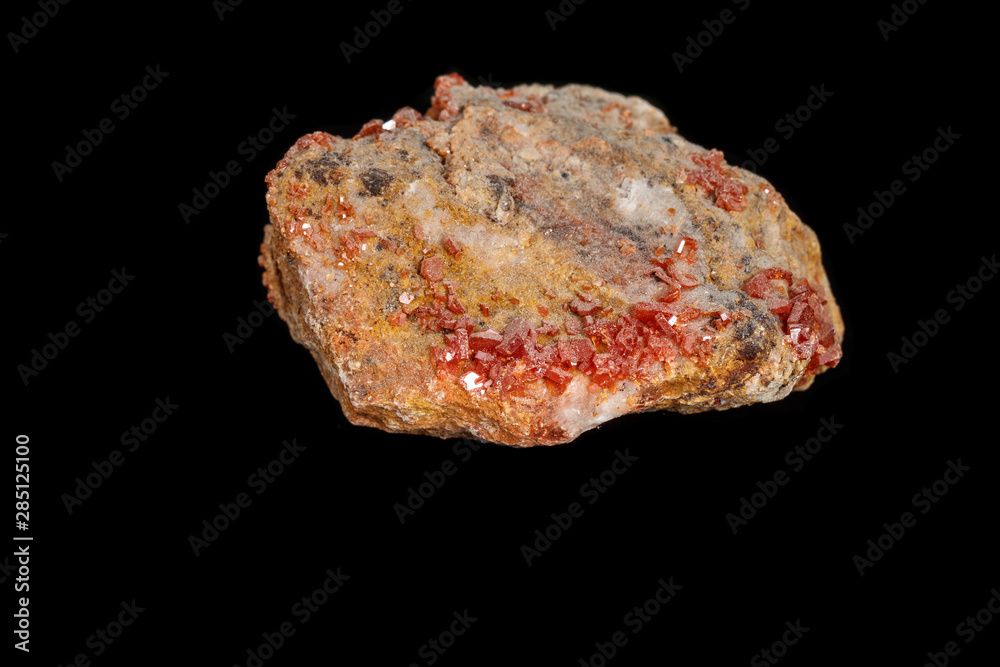 Macro mineral stone Vanadinite on a black background Macro mineral stone Vanadinite on a black background