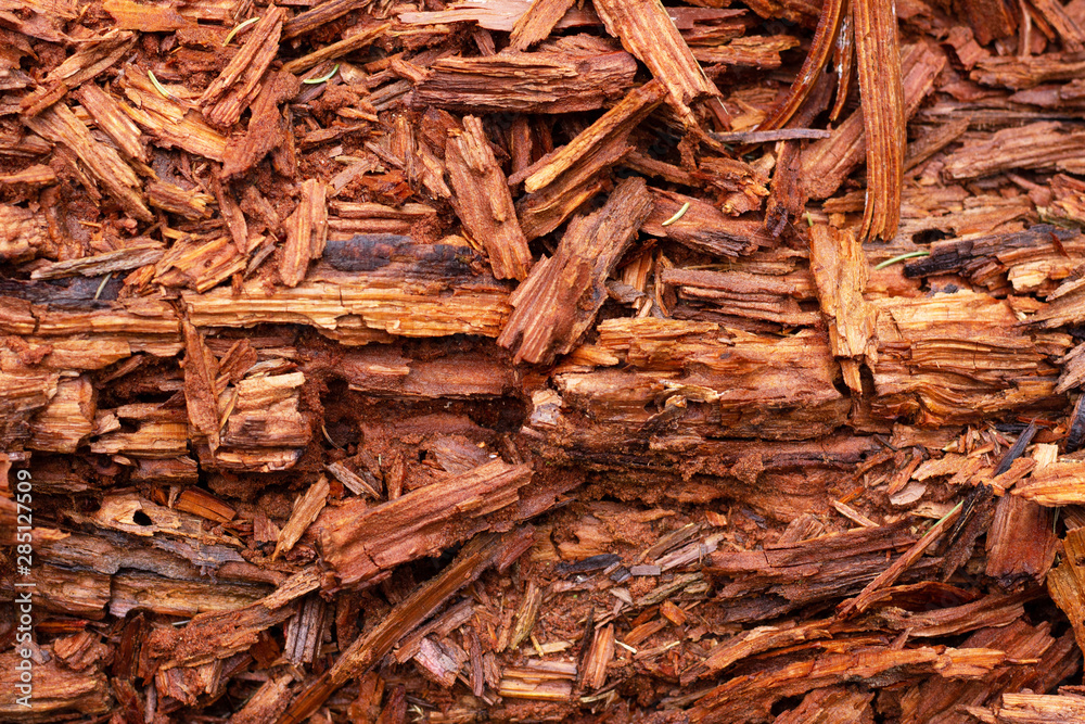 The texture of wood chips, broken, rotten wood. The texture of wood chips, broken, rotten wood.