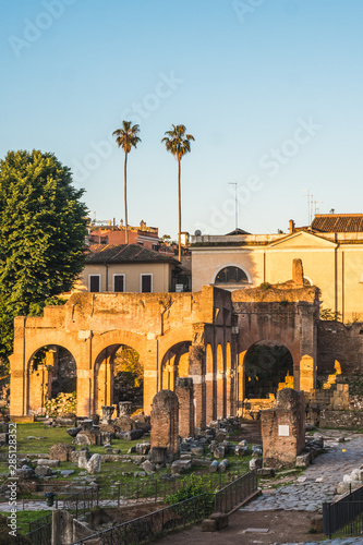 Roman Forum. Image of Roman Forum in Rome, Italy during a morning, Europe