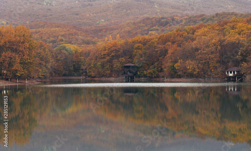 House by lake with autumn forest on background photo