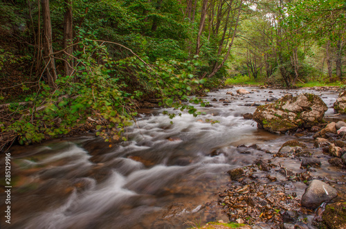 Mountain river with fast waters passing through the forest. Windy day, long exposure.