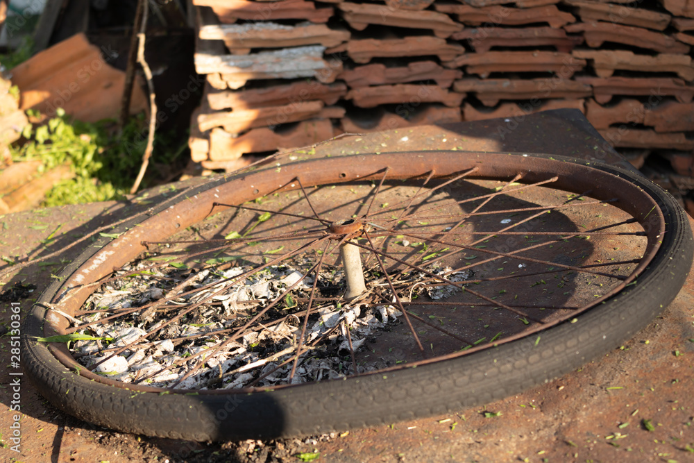Broken and rusted bicycle wheel in dry last year's leaves