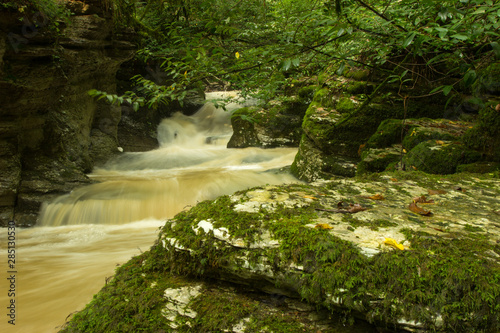 Rapids on a mountain river