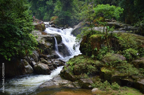 waterfall in forest