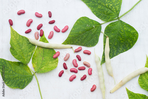 Принти на полотні Red kidney beans on white wooden background. Flat lay