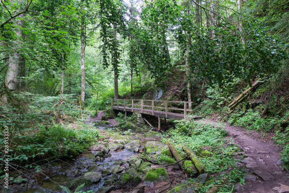 Wandern durch eine Schlucht im Schwarzwald Wandern durch eine Schlucht im Schwarzwald