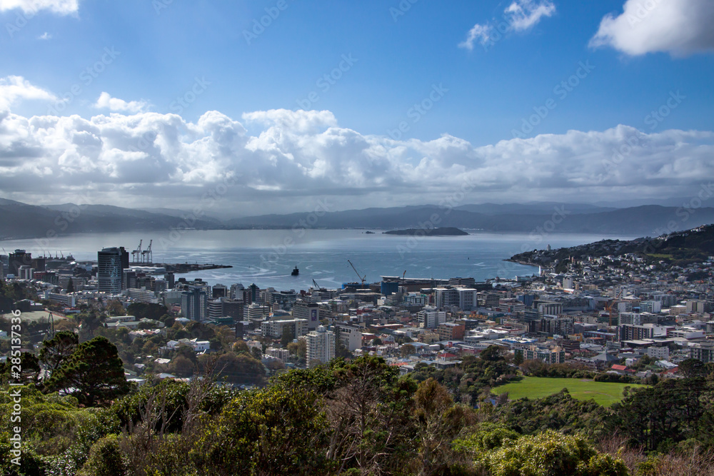 Obraz premium The capital city of New Zealand Wellington harbour