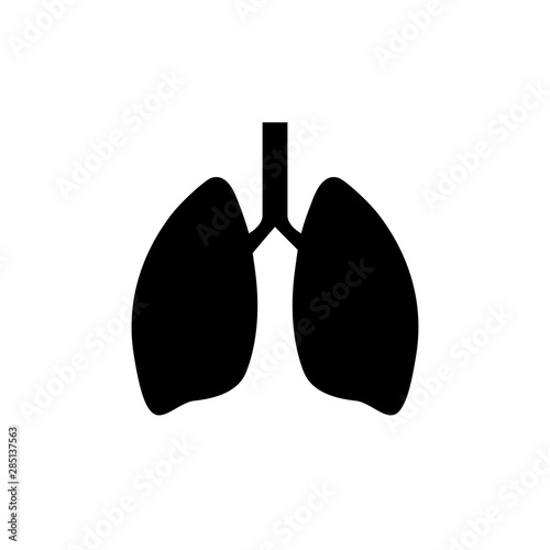 Lung human icon, respiratory system healthy lungs anatomy flat medical organ icon