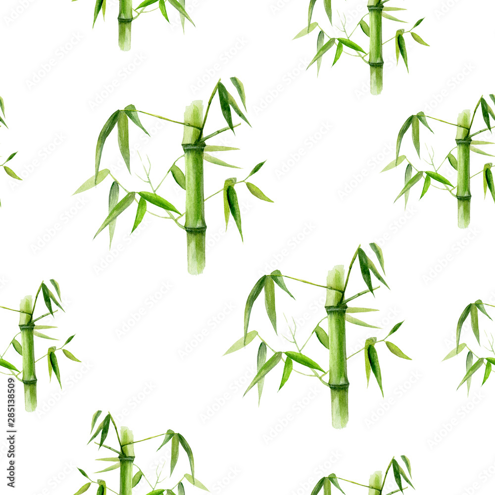 Fototapeta premium Bamboo hand drawn watercolor illustration. Seamless pattern.