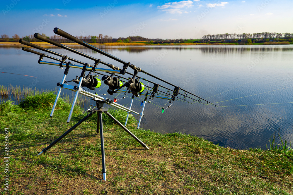 Carp fishing rods standing on rod pod near the lake during sunrise. Morning fishing on the lake under blue sky