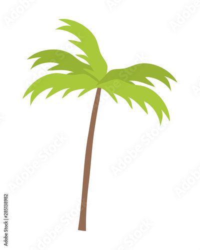 Palm tree of summer season design