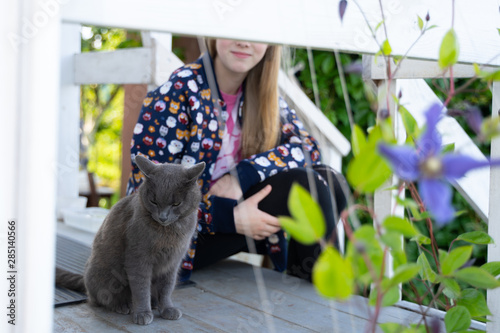 Photo Girl playing with  the gray cat, the cat's eyes are closed, he sits on the veran