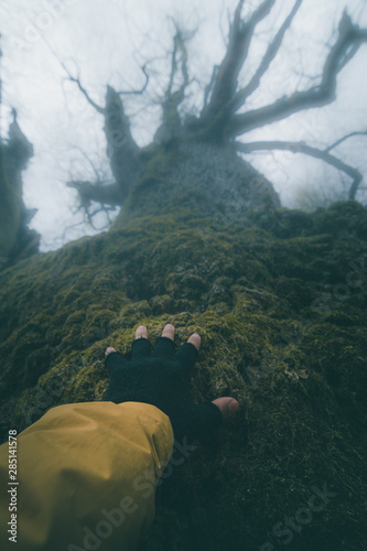 Crop tourist in gloves with naked fingers touching part of ancient wood covered by moss photo