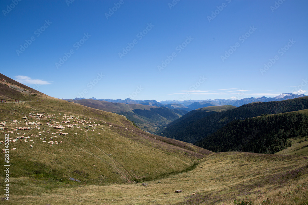 Paysage de montagne Pyrenees hill France