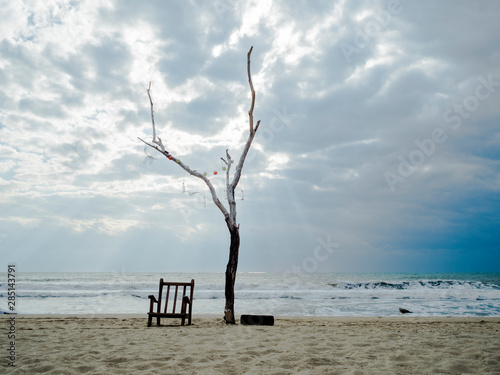 lonely tree and chair at the beach