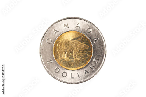 A bimettalic Canadian two dollar polar bear coin isolated on a white background, shot close up in macro