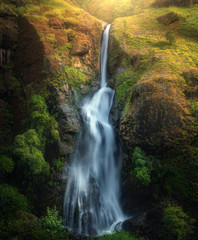 Waterfall in autumn forest at sunset in Nepal. Colorful natural landscape with waterfall with blurred water in mountains, green trees and grass on the rocks, yellow sunlight in fall. Beautiful nature