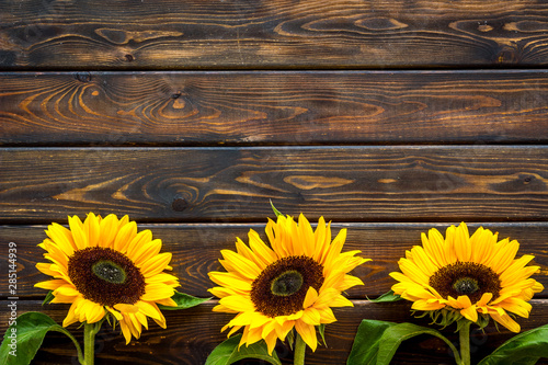 Fototapeta Naklejka Na Ścianę i Meble -  Sunflower frame on wooden background top view copyspace