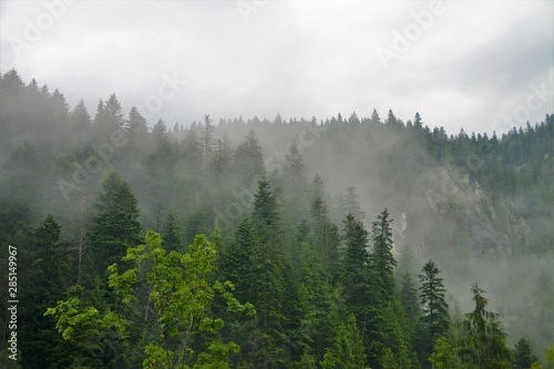 fog in the mountains © sebi_2569