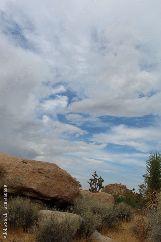 Monsoon weather brings much needed moisture to the Southern Mojave Desert, when the Little San Bernardino Mountains of Joshua Tree National Park are met with vaporous visitors.