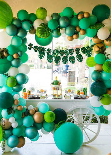 Fotografie safari themed children's party