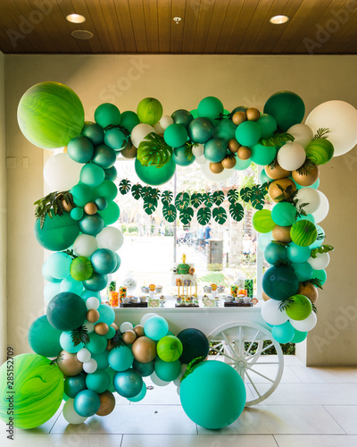 Fotografie safari themed children's party