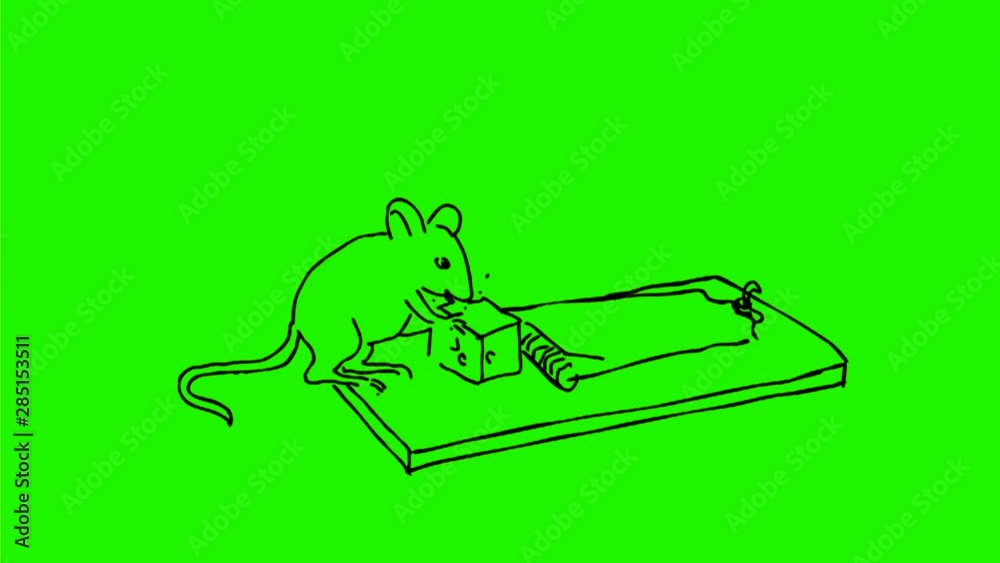 2d Animation motion graphics drawing of a mouse eating cheese bait in mouse trap and getting caught on white and green screen with alpha matte in HD high definition.