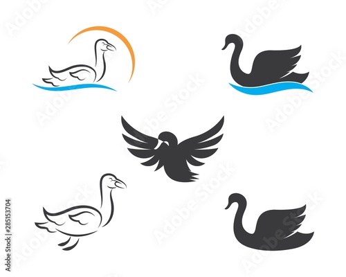 Swan logo Template vector illustration photo