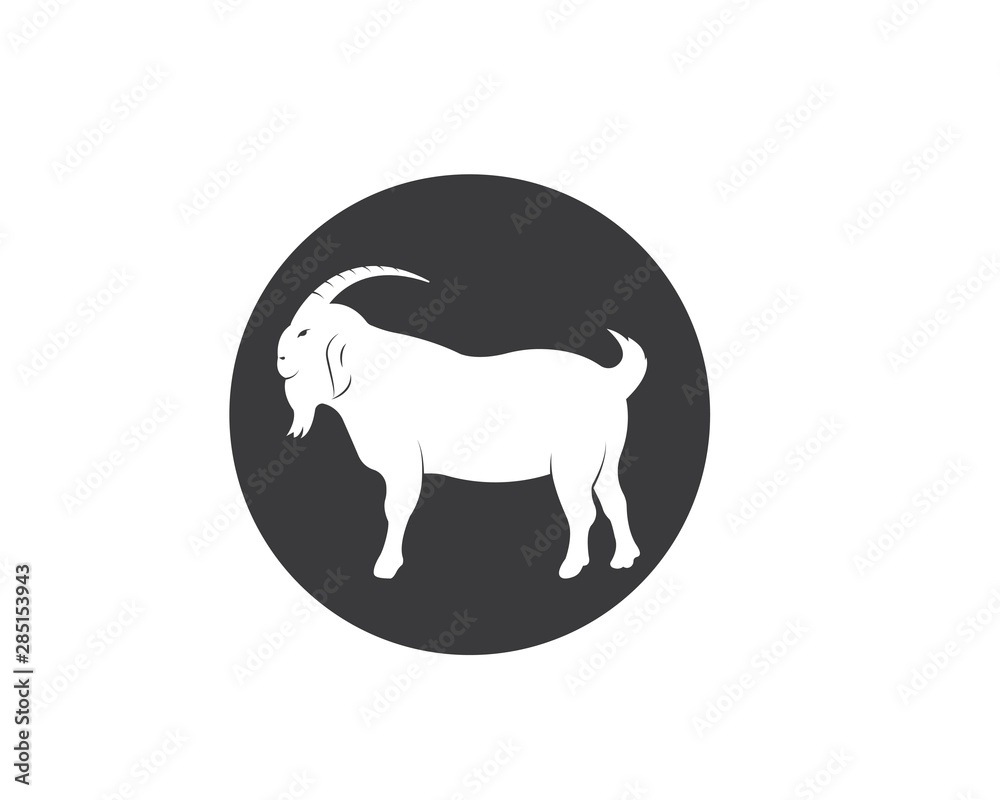 Obraz premium Goat Logo Template vector illustrtion