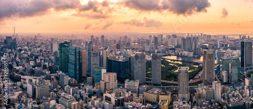 Aerial drone Panorama - Skyline of the city of Tokyo  Japan at sunrise.  Asia