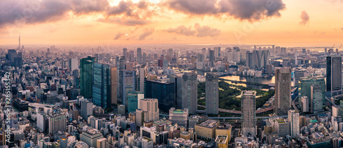 Obraz na płótnie Aerial drone Panorama - Skyline of the city of Tokyo, Japan at sunrise. Asia w salonie