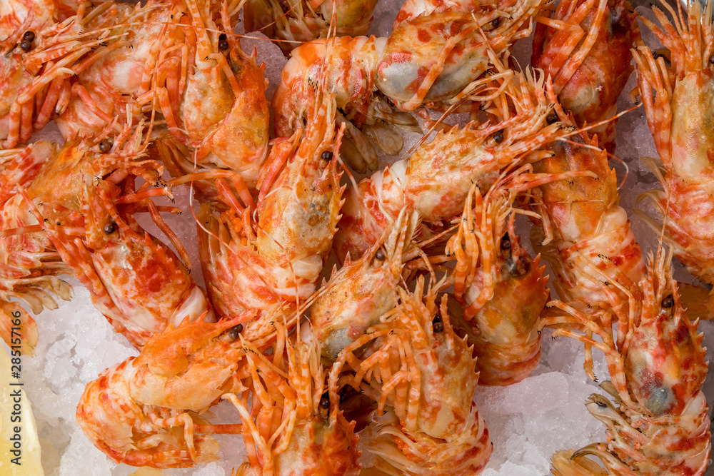 boiled shrimp on ice on grey concrete table boiled shrimp on ice on grey concrete table